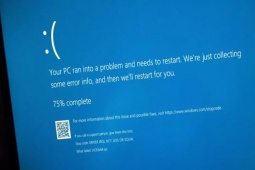 Windows 11 24H2 tiếp tục khiến người dùng đau đầu vì lỗi mới