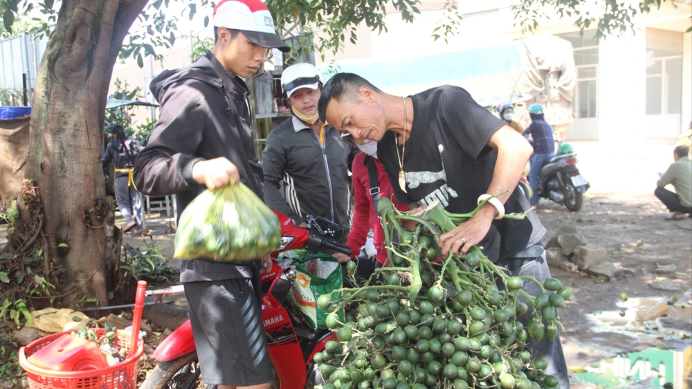 Một điểm thu mua cau ở TP Buôn Ma Thuột. Ảnh: T.T