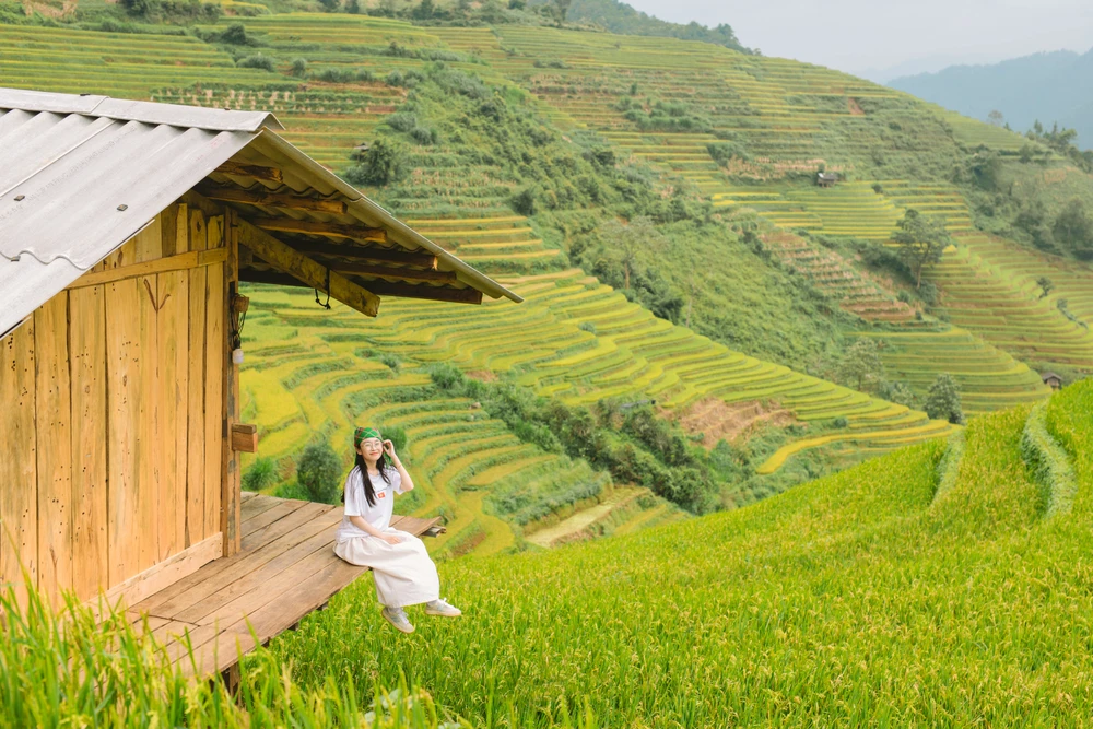 Du khách mải mê check-in với ‘bức tranh mùa vàng’ ở Mù Cang Chải - 4