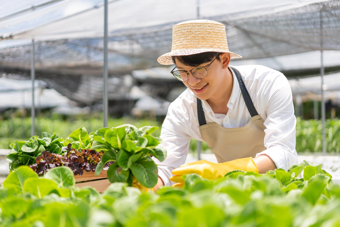 Nếu cho rằng việc chăm sóc sức khỏe tinh thần thật khó khăn thì bạn hãy nhìn nhận nó đơn giản theo cách trồng một cái cây.