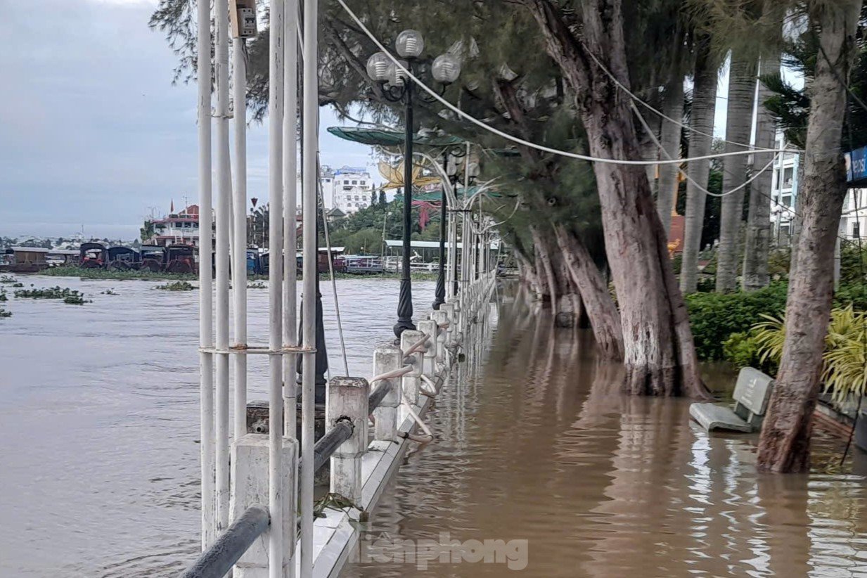 Triều cường vượt báo động 3, bến Ninh Kiều chìm trong nước - 5