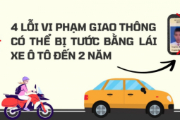 4 lỗi vi phạm giao thông có thể bị tước bằng lái xe ô tô đến 2 năm