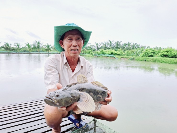 Nắm bí quyết nuôi cá "lớn nhanh như thổi", ông nông dân nhẹ nhàng kiếm 5 tỷ đồng - 4