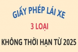 Luật giao thông mới: 3 loại giấy phép lái xe không thời hạn có hiệu lực từ 2025