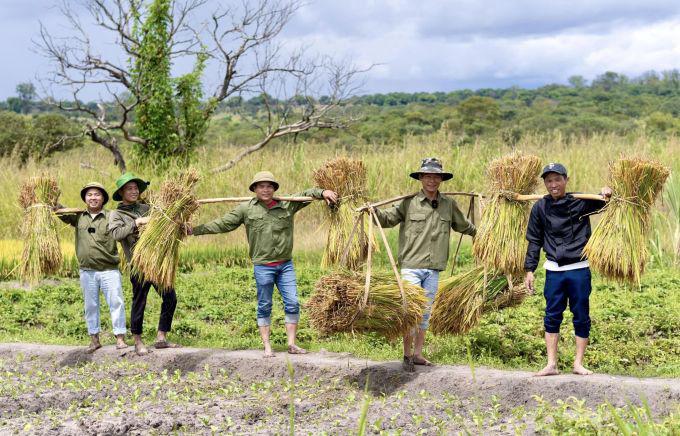 Đỗ Văn Linh (thứ hai từ phải sang) và các thành viên Team châu Phi thu hoạch vụ lúa đầu tiên ở Angola. Ảnh: Linh Philip Vlogs