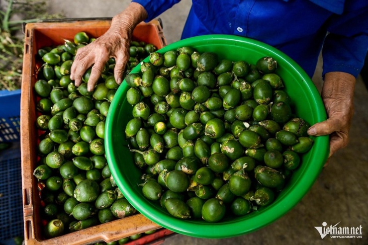 Trung Quốc bao mua gần hết cau của Việt Nam. Ảnh: Trọng Tùng