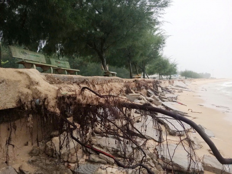 Ông Nguyễn Quang Dân - Chủ tịch UBND xã Phú Thuận, cho biết, năm nay, tình trạng sạt lở trên địa bàn xã diễn biến bất thường và phức tạp, tập trung chủ yếu ở khu vực bãi tắm Phú Thuận. Khu vực này trước đây là cửa biển Hòa Duân từng được mở mới trong trận lũ lụt lịch sử tháng 11/1999.