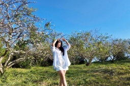 Mùa thu này lên Mộc Châu chơi gì?