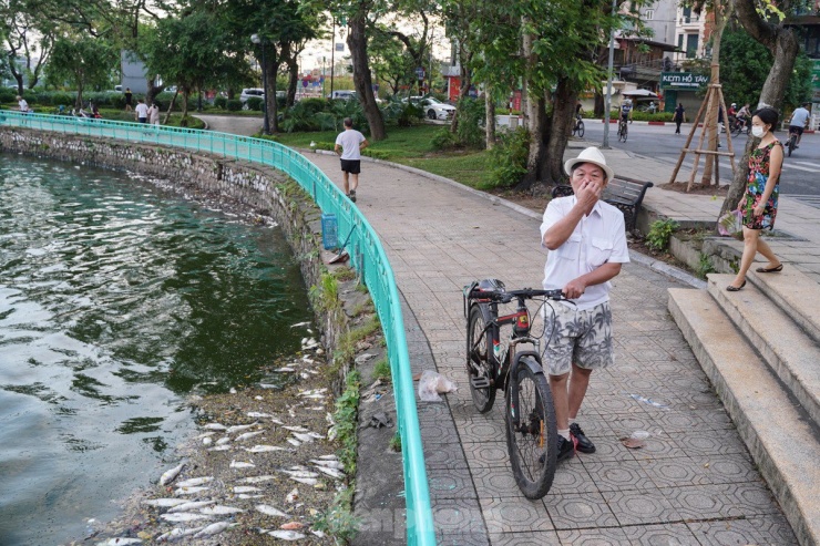 Người dân Thủ đô &#39;đau đầu nhức óc&#39; vì mùi hôi thối do cá chết trắng tại Hồ Tây - 10