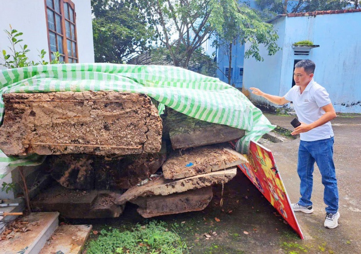 Cây gỗ lạ