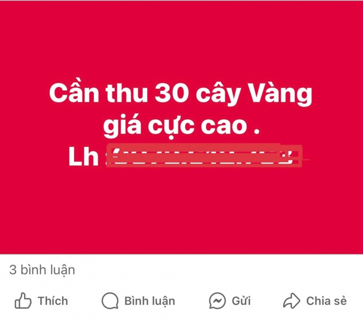 Trên mạng, có người rao mua vàng với số lượng lớn, giá cực cao. Ảnh chụp màn hình.