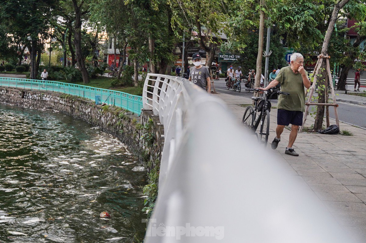 Người dân Thủ đô &#39;đau đầu nhức óc&#39; vì mùi hôi thối do cá chết trắng tại Hồ Tây - 11