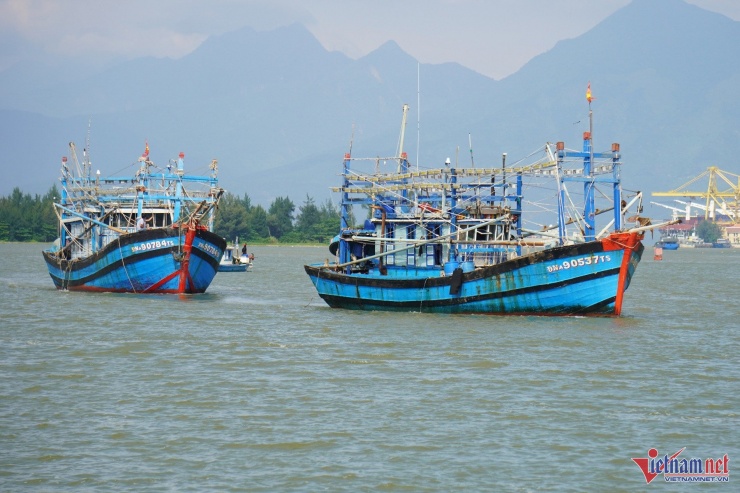 Đà Nẵng, Quảng Nam: Tàu cá tấp nập vào bờ tránh bão Trà Mi