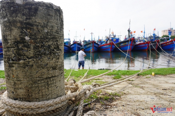  Ngư dân thả neo, dùng dây thừng buộc chặt tàu để tránh va đập khi gió bão. Ảnh: Hồ Giáp