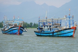 Đà Nẵng, Quảng Nam: Tàu cá tấp nập vào bờ tránh bão Trà Mi