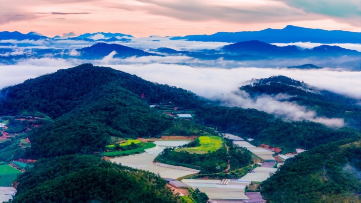 'Săn' sương sớm trên ba ngọn đồi ở Đà Lạt