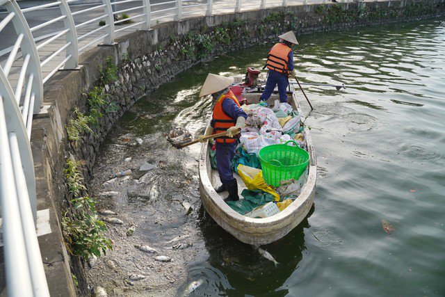 Người dân phản ánh rất nhiều về tình trạng cá chết bốc mùi hôi thối, công nhân môi trường cũng được tăng cường để dọn dẹp, thu gom xác cá.