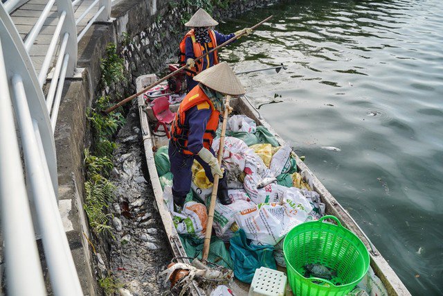 Hồ Tây ô nhiễm nặng nề do tình trạng cá chết hàng loạt