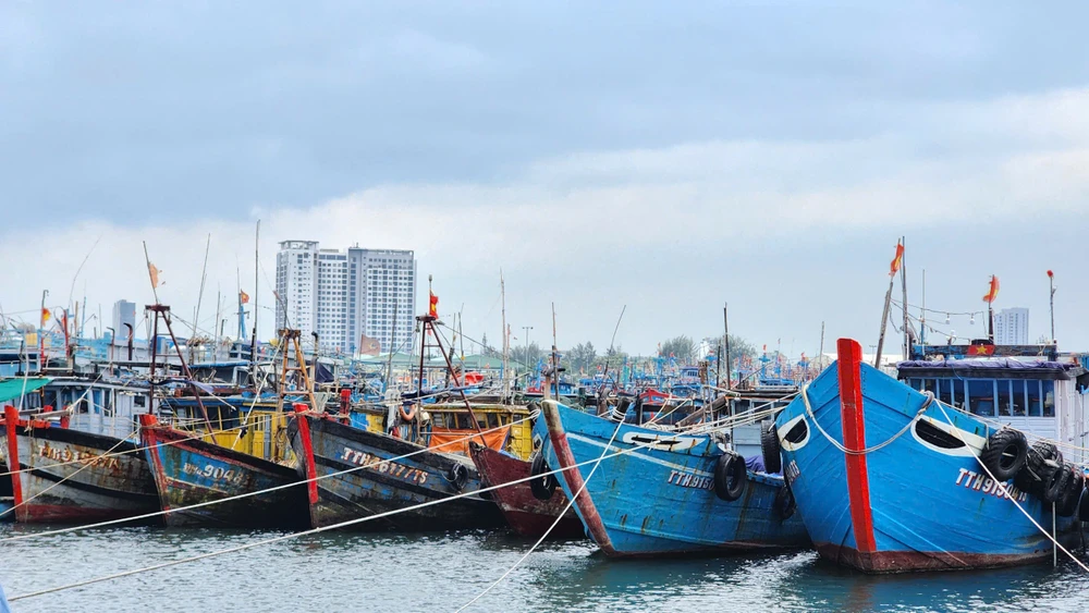 Đưa thuyền, thúng lên bờ tránh bão Trà Mi tại Đà Nẵng