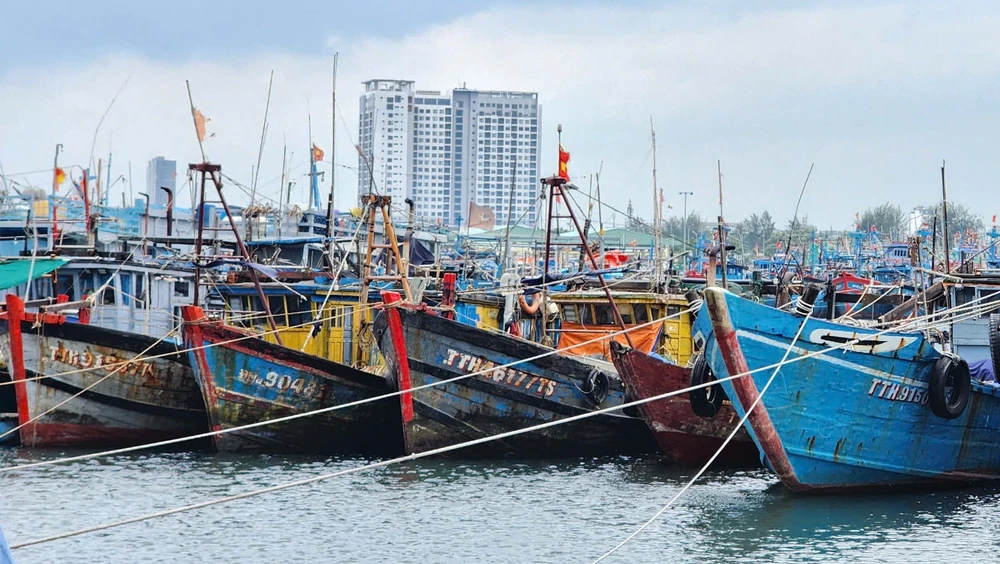 Tàu thuyền vào neo đậu tránh trú bão tại Âu thuyền Thọ Quang, Đà Nẵng. Ảnh: TẤN VIỆT