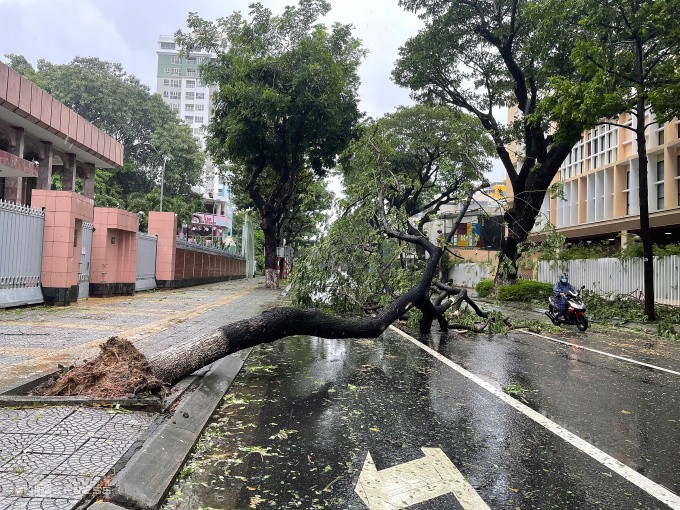 Bão vào Thừa Thiên Huế - Đà Nẵng, giật đổ hàng loạt cây xanh - 17