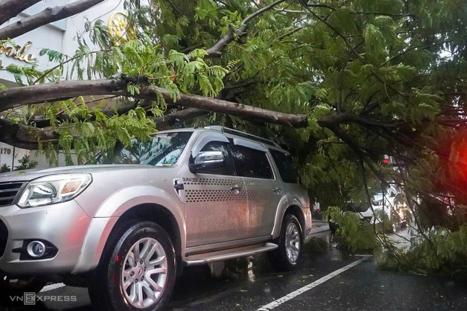 Bão vào Thừa Thiên Huế - Đà Nẵng, giật đổ hàng loạt cây xanh - 18