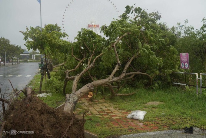 Bão Trà Mi vào Thừa Thiên Huế - Đà Nẵng - 15