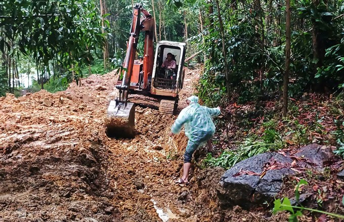 Bão vào Thừa Thiên Huế - Đà Nẵng, giật đổ hàng loạt cây xanh - 6