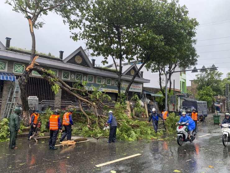 Cây đổ, đất đá tràn xuống gây ách tắc giao thông sau bão ở Đà Nẵng