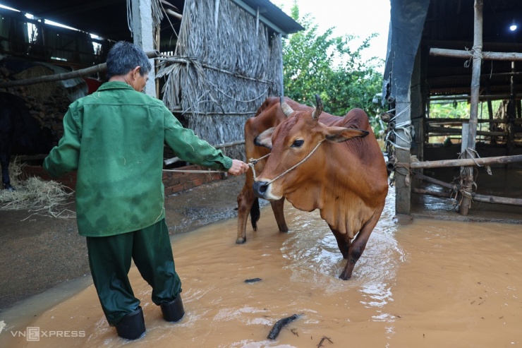 Hậu quả lũ lụt kinh hoàng: Phước Tân oằn mình trong bùn và mất mát