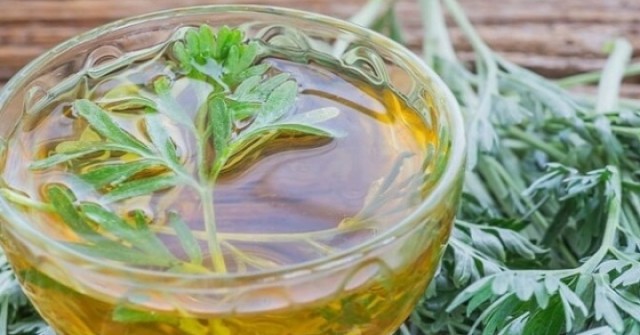 Rau ngải cứu có tác dụng gì?