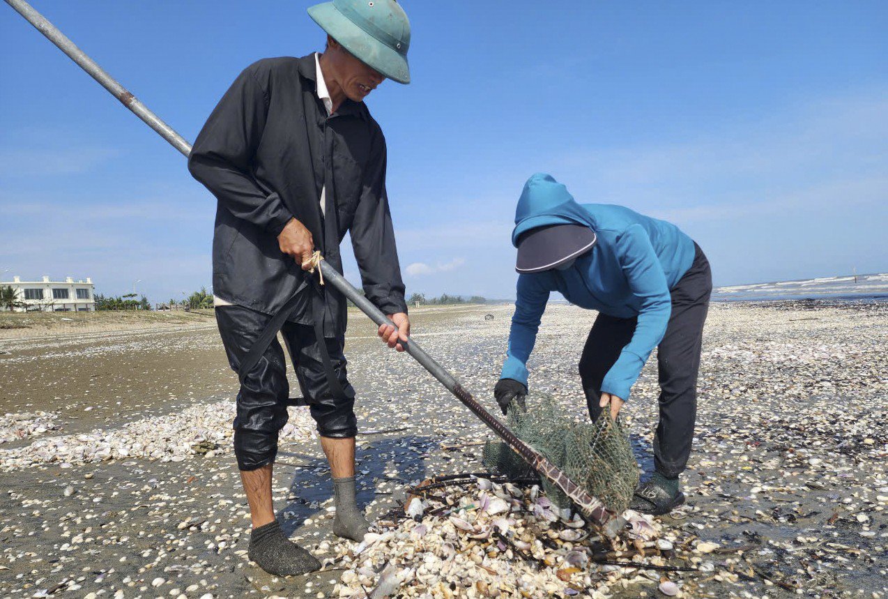 Người dân Hà Tĩnh đổ xô ngâm nước vớt &#39;lộc biển&#39; - 4