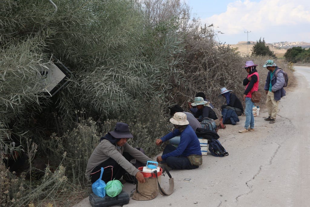 Công nhân ở thị trấn biên giới Metula, Israel. Ảnh: Xinhua