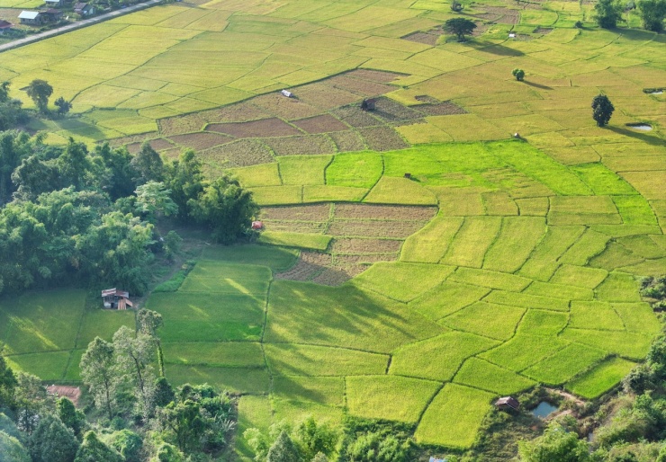 Travel blogger Việt: Ở nhà tổ chim, đu zipline ngắm đá vôi tại Lào - 5