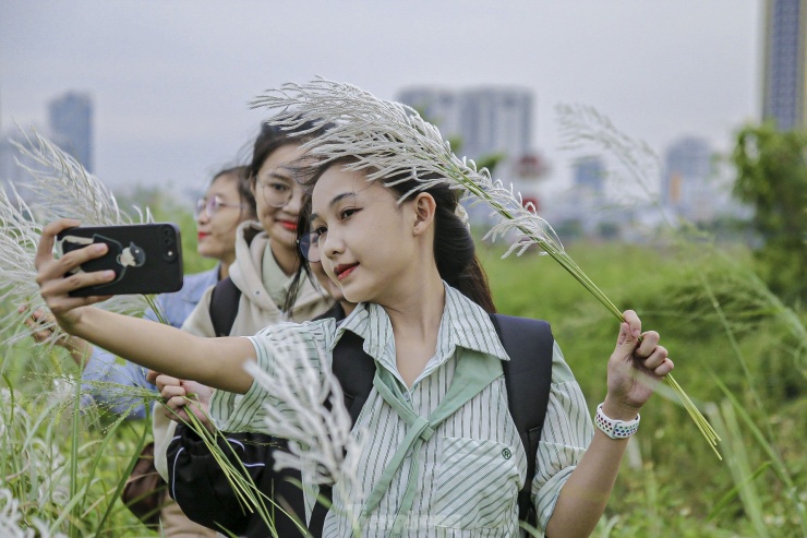 Nô nức check-in cánh đồng cỏ lau trắng đẹp mê mẩn - 6