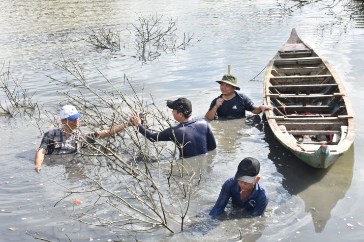 Trải nghiệm dỡ chà bắt cá: Lưu giữ nét đẹp vùng Đất Mũi