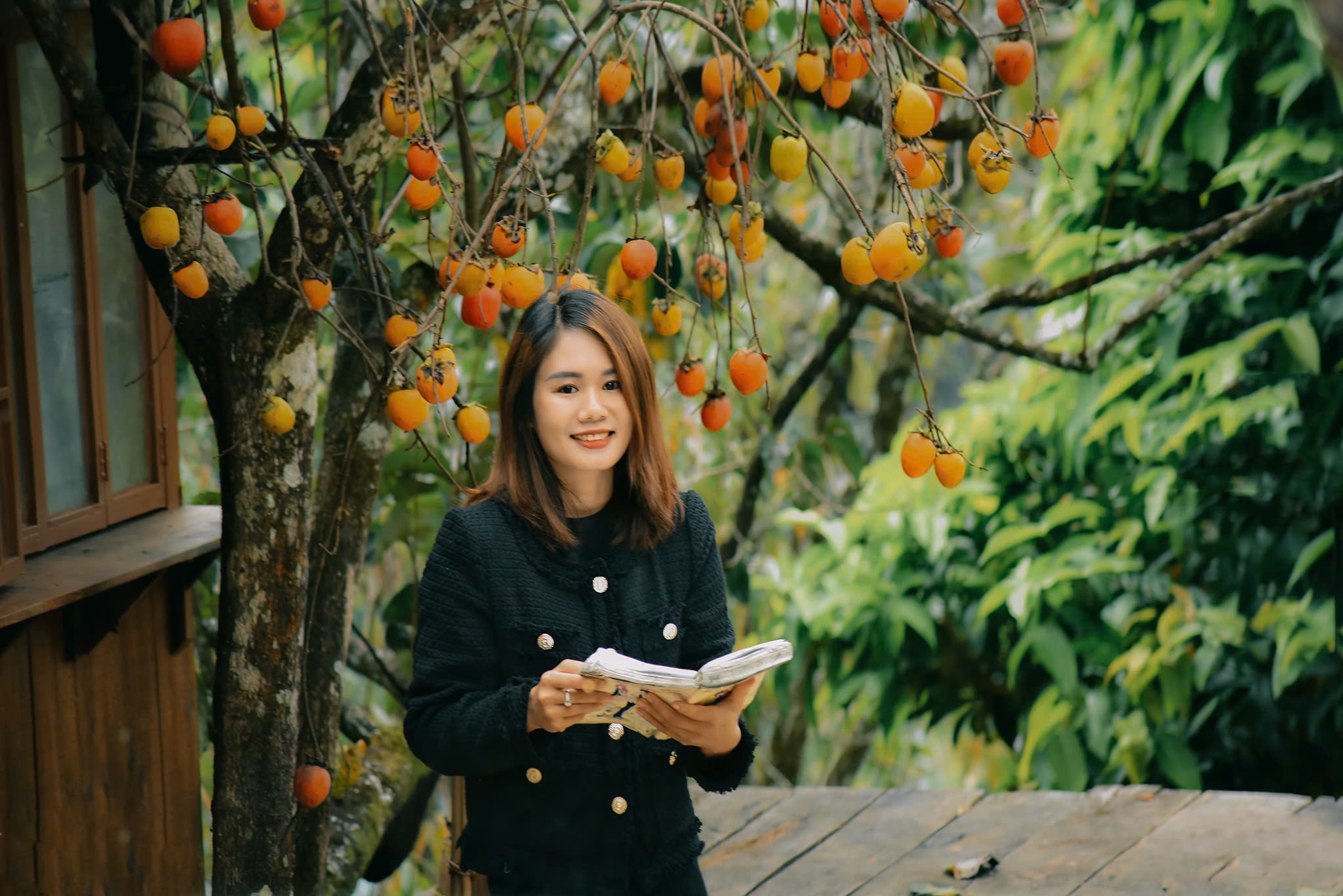 Ghé Đà Lạt chiêm ngưỡng những vườn hồng đẹp như tranh - 4