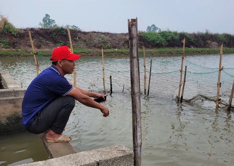 Anh Ca ngồi trước ruộng rươi của gia đình khi các nhà đã được thu hoạch nhưng nhà anh vẫn chưa thấy rươi xuất hiện.