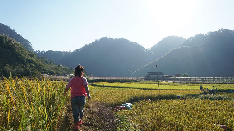 Khung cảnh thiên nhiên đẹp như trong tranh ở Pà Cò. (Ảnh: A Páo).