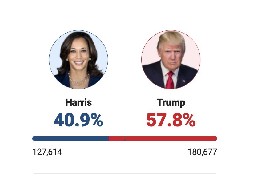 Ông Trump thành công nhờ chiến dịch chính trị "có kỷ luật nhất từ trước đến nay" - 46