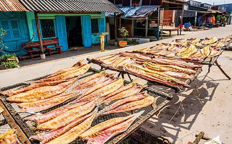 Thông thường, khoảng 2,2 kg cá rún tươi sản xuất được 1 kg khô cá rún.
