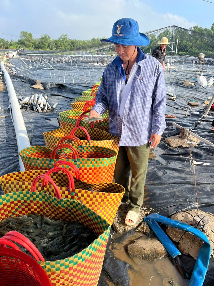 Ông Nhủ quyết định nghỉ nghề làm muối để chuyển sang nghề nuôi tôm.