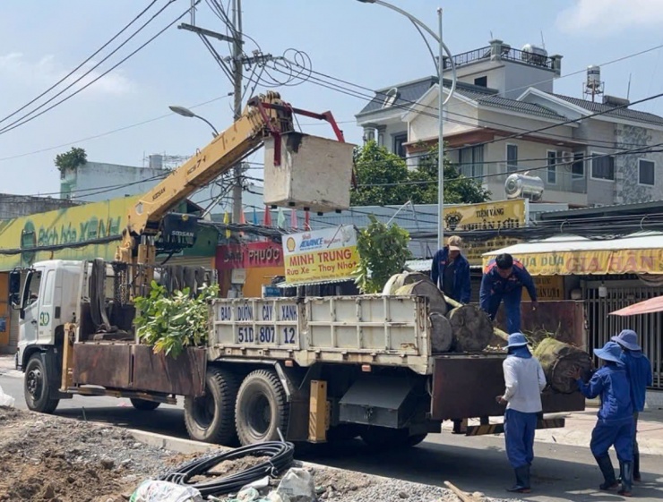 Cầu Rạch Đỉa mới - Điểm sáng giao thông phía Nam chuẩn bị hoàn thiện