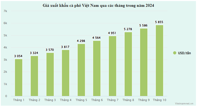 Cà phê Việt thắng lớn, chờ quyết định lịch sử từ thị trường 48 tỷ USD - 1