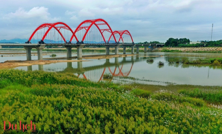 Lạc giữa miền cổ tích mùa cỏ lau trên dòng sông Trà Khúc - 1