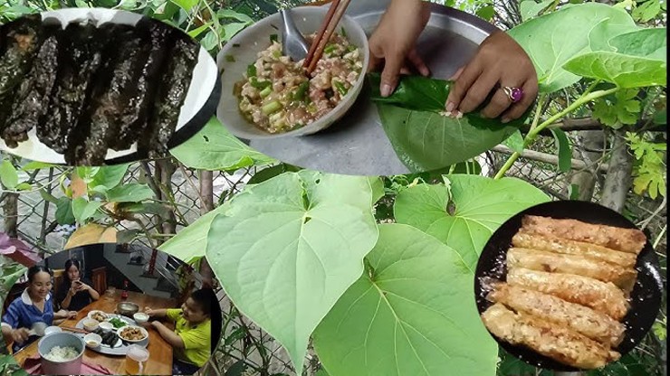 Trên chợ mạng hay các sàn thương mại điện tử, lá dổi đất được bán với giá tới 150.000 đồng/kg.&nbsp;
