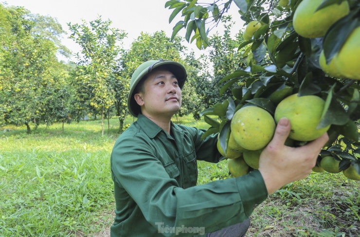 Lãnh đạo UBND xã Thượng Lộc cho biết: “Cam được trồng chủ yếu ở các thôn Anh Hùng, Sơn Bình, Nam Phong, Đông Phong… Năm nay sản lượng cam toàn xã đạt hơn 1.800 tấn, cho giá trị kinh tế hàng chục tỷ đồng. Cây cam vì thế trở thành cây trồng giúp người dân địa phương thoát nghèo, mang lại thu nhập khá.