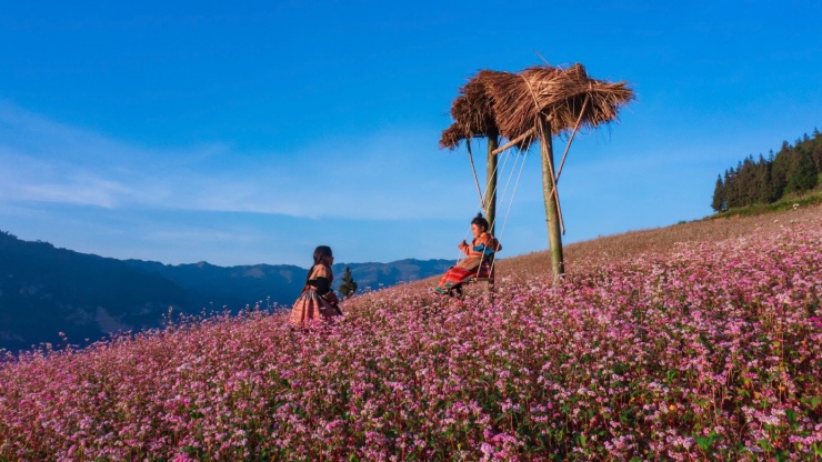 Thảo nguyên Suôi Thầu thuộc xã Nàm Kha (huyện Xín Mần, tỉnh Hà Giang), giáp ranh với huyện Bắc Hà (tỉnh Lào Cai). Thảo Nguyên có độ cao 1.000m so với mực nước biển, khí hậu mát mẻ, trong lành, nhịp sống chậm rãi và thơ mộng.