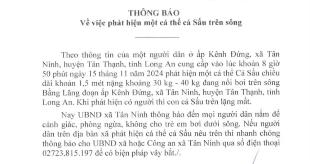 Cá sấu xuất hiện trên sông Bằng Lăng, Long An: Chính quyền cảnh báo người dân đề phòng