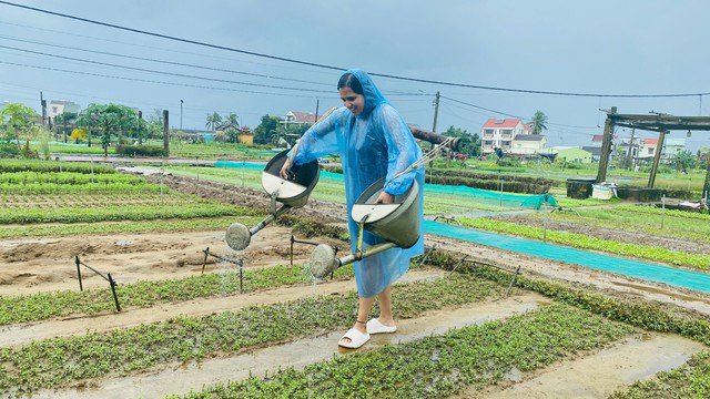 Có gì hấp dẫn ở Trà Quế (Quảng Nam) - làng du lịch tốt nhất thế giới? - 2